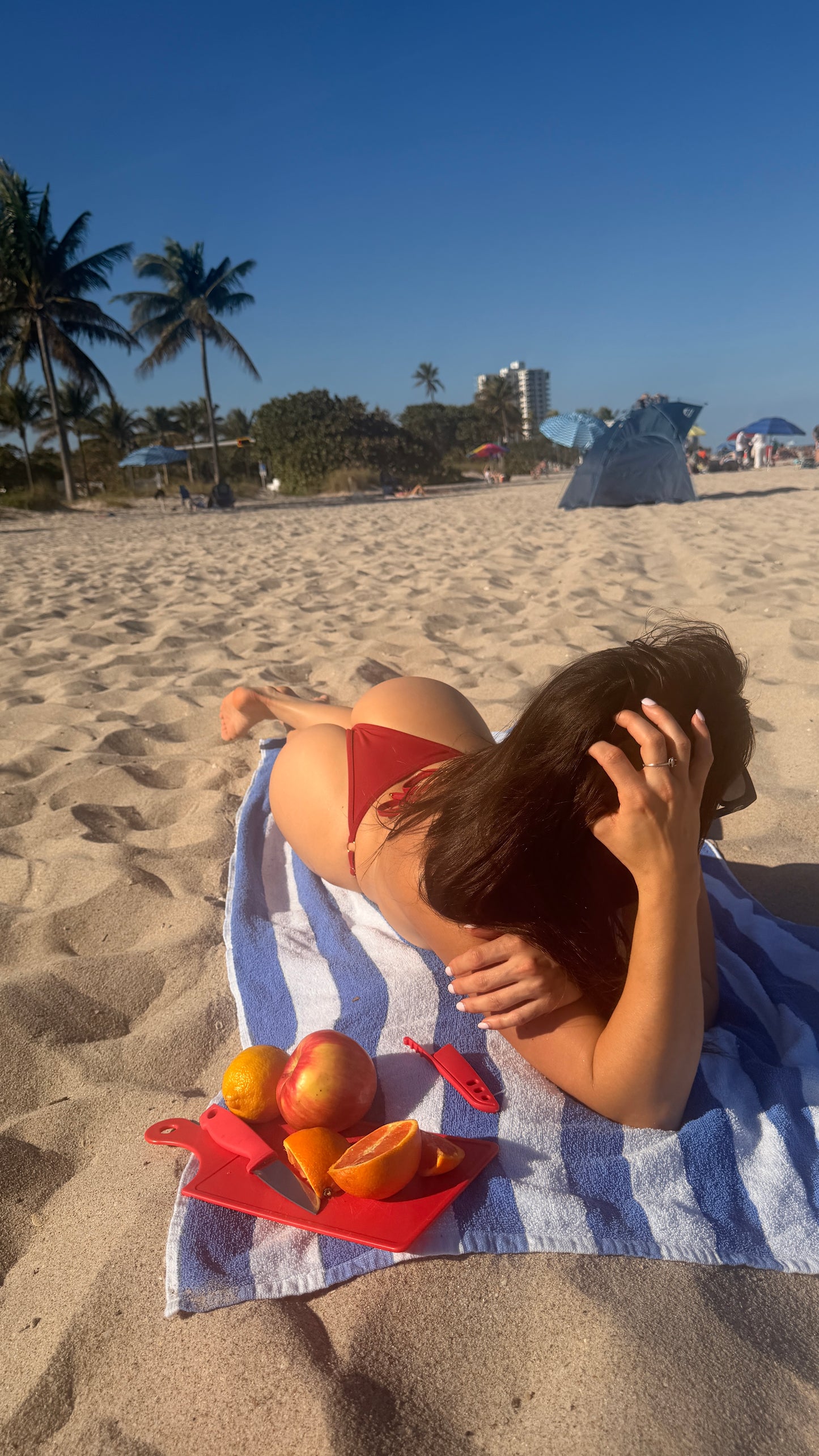 Cobra Bikini Bottoms Wine Red